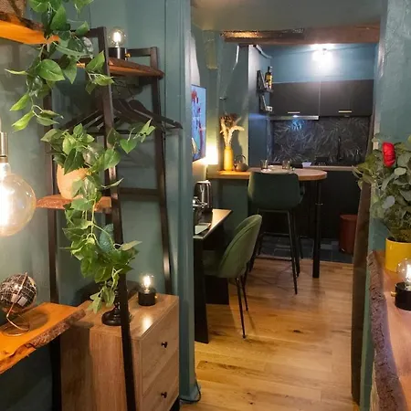 La Canopee D'honfleur, Place Sainte-catherine Apartment *