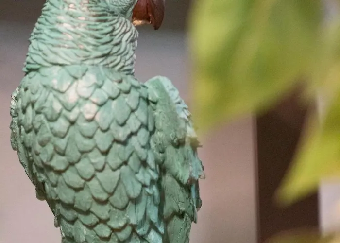 La Canopee D'honfleur, Place Sainte-catherine Apartment *