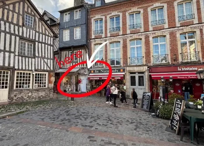 La Canopee D'honfleur, Place Sainte-catherine Apartment Honfleur