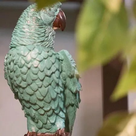 La Canopee D'honfleur, Place Sainte-catherine Apartment *